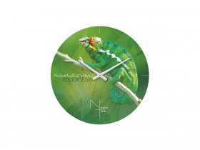 Часы настенные Nicole Time NT503 в Купино - kupino.mebel-nsk.ru | фото