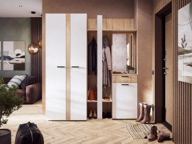Модульная прихожая Санса (дуб сонома/белый) в Купино - kupino.mebel-nsk.ru | фото