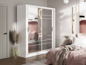 Шкаф-купе Дрим-1 2,0м (белый) в Купино - kupino.mebel-nsk.ru | фото