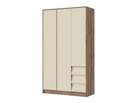 Шкаф трехдверный ШК-02 Рейн в Купино - kupino.mebel-nsk.ru | фото